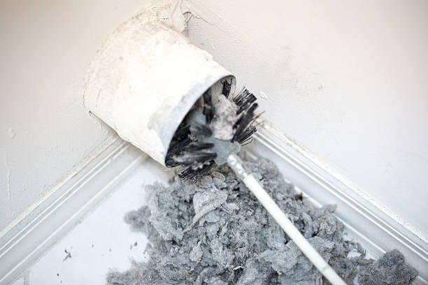 Best Emergency Air Duct Cleaning  in Salamatof, AK